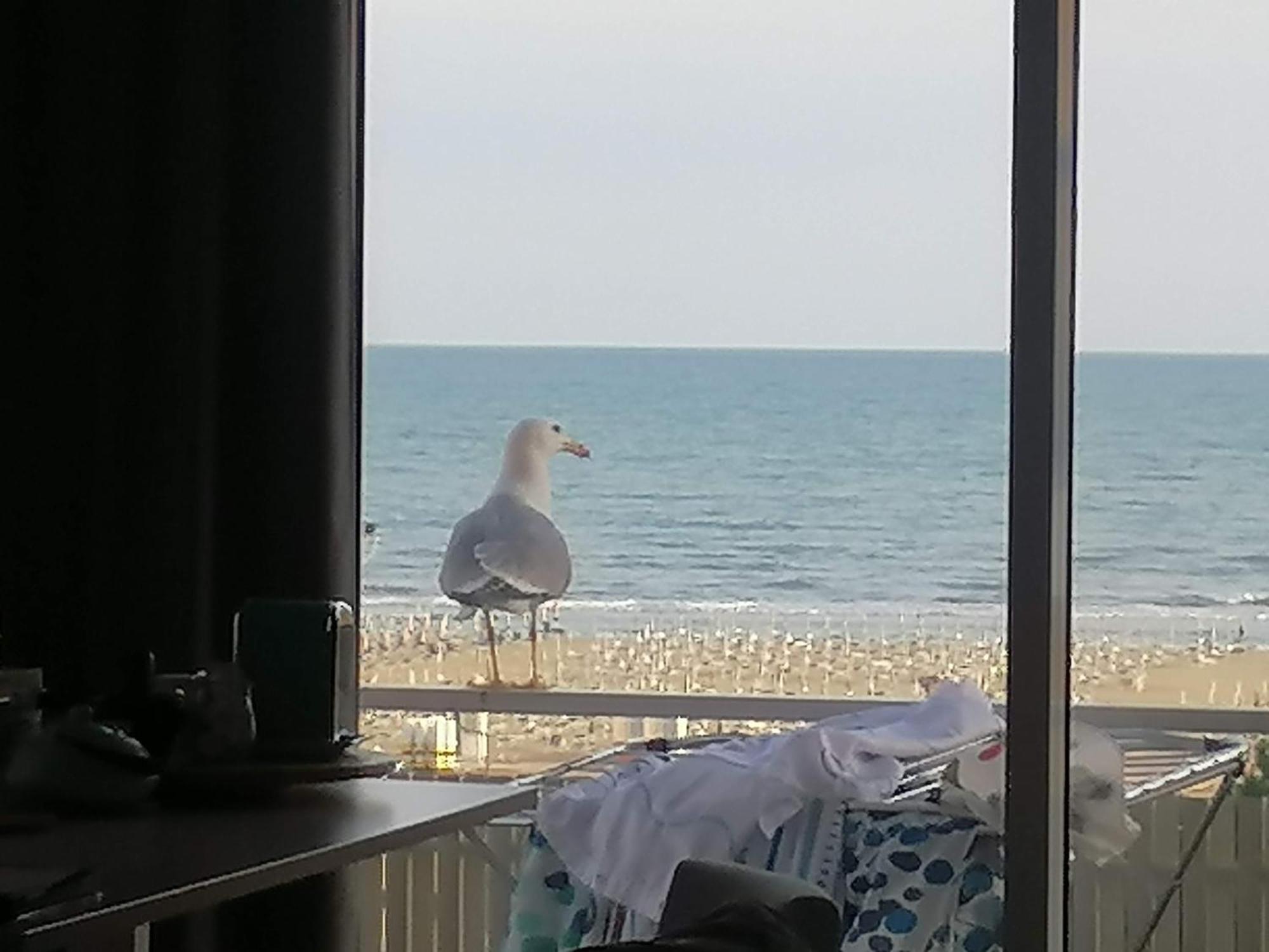 Villa Silente L Bibione Eksteriør bilde