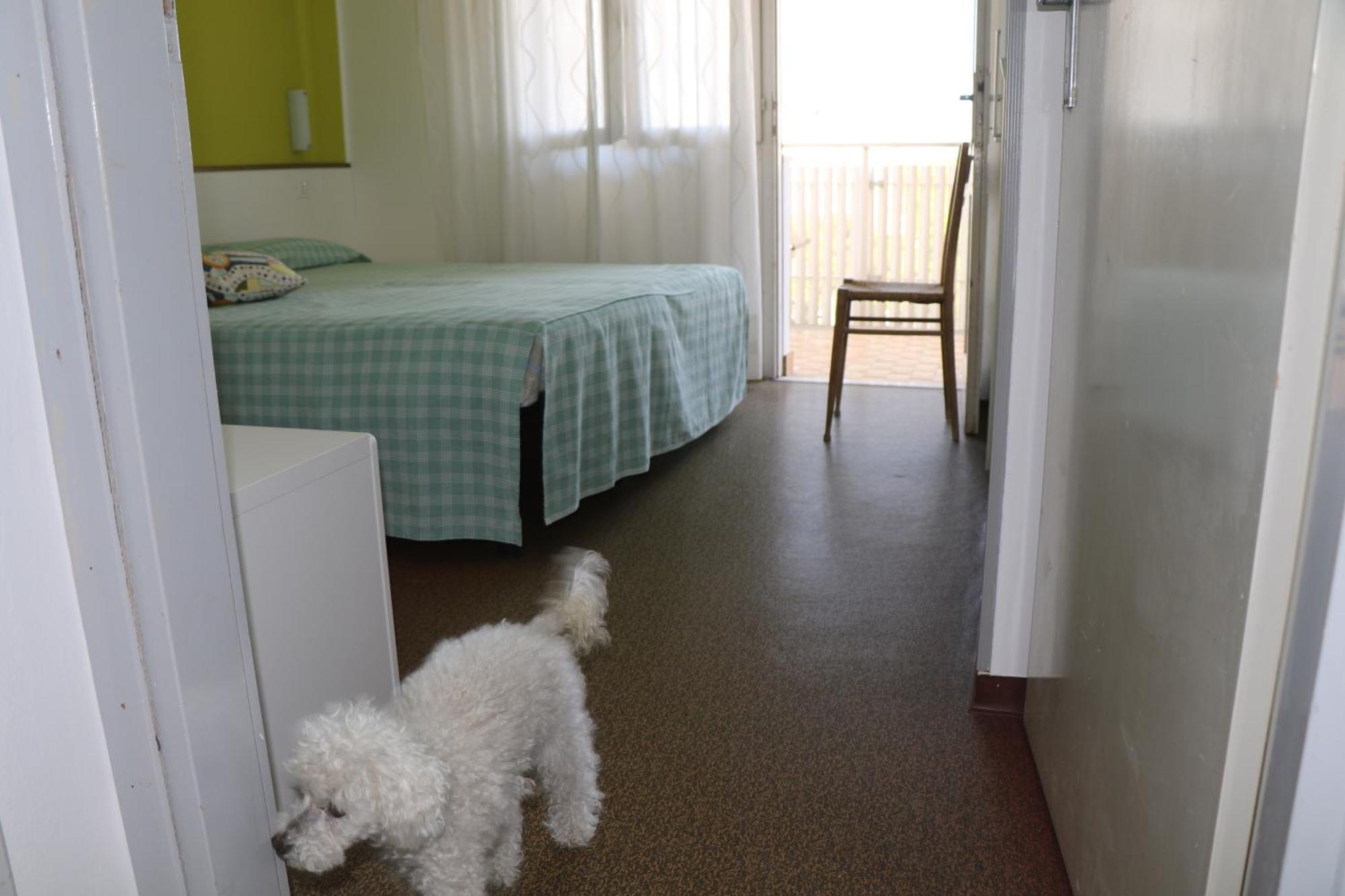 Villa Silente L Bibione Eksteriør bilde
